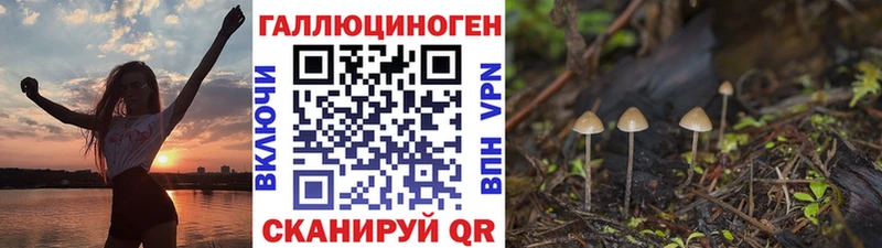 Псилоцибиновые грибы Psilocybine cubensis  Острогожск 